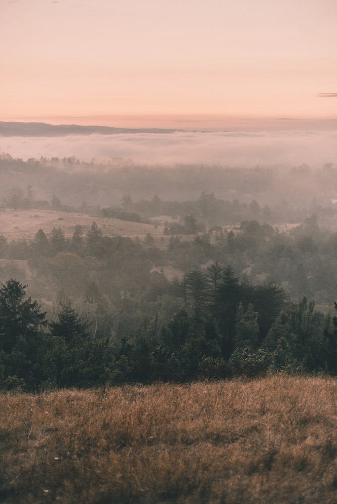 Sunrise over the Mist