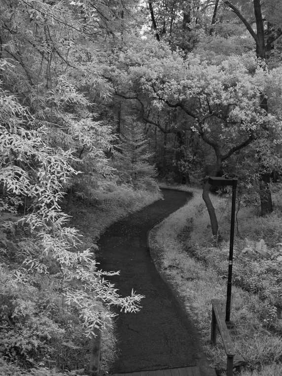 Silver Path