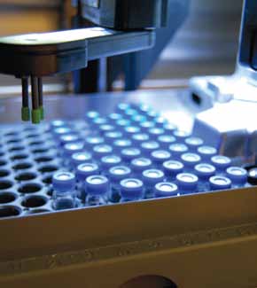 Robotic equipment at the UCSC Chemical Screening Center was used to screen natural product extracts for novel antibiotics. 