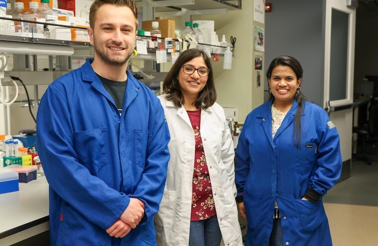 New biology study reveals four novel genes required for male fertility in mice