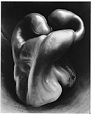 Edward Weston photo