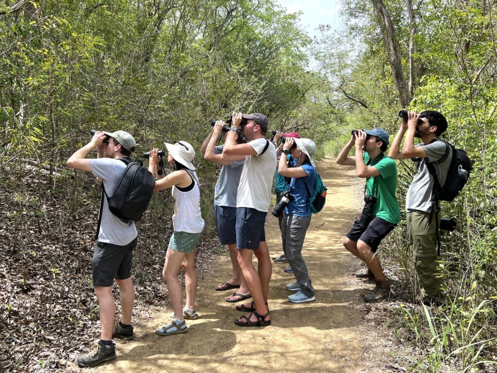 A large group of tourists in outdoor clothing stop on a trail and hold binoculars up to look into the trees. 