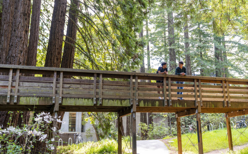 UC Santa Cruz among top 15 Alt-Ivies of 2025 by Town & Country