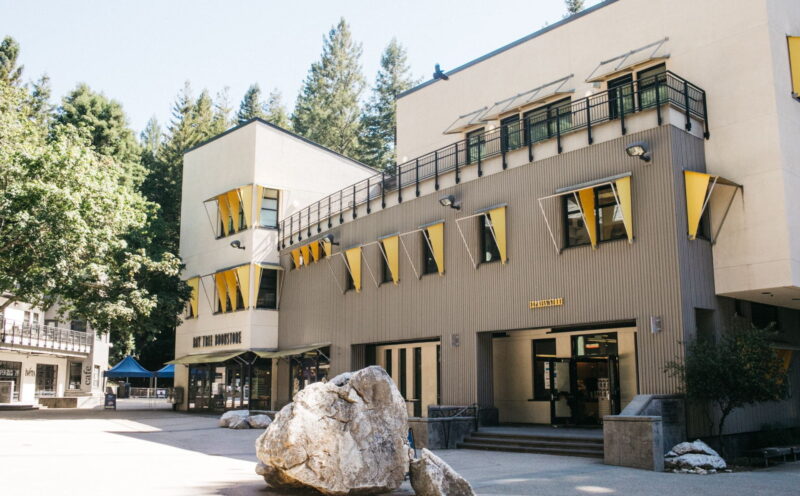 Bay Tree renovation coming winter 2026