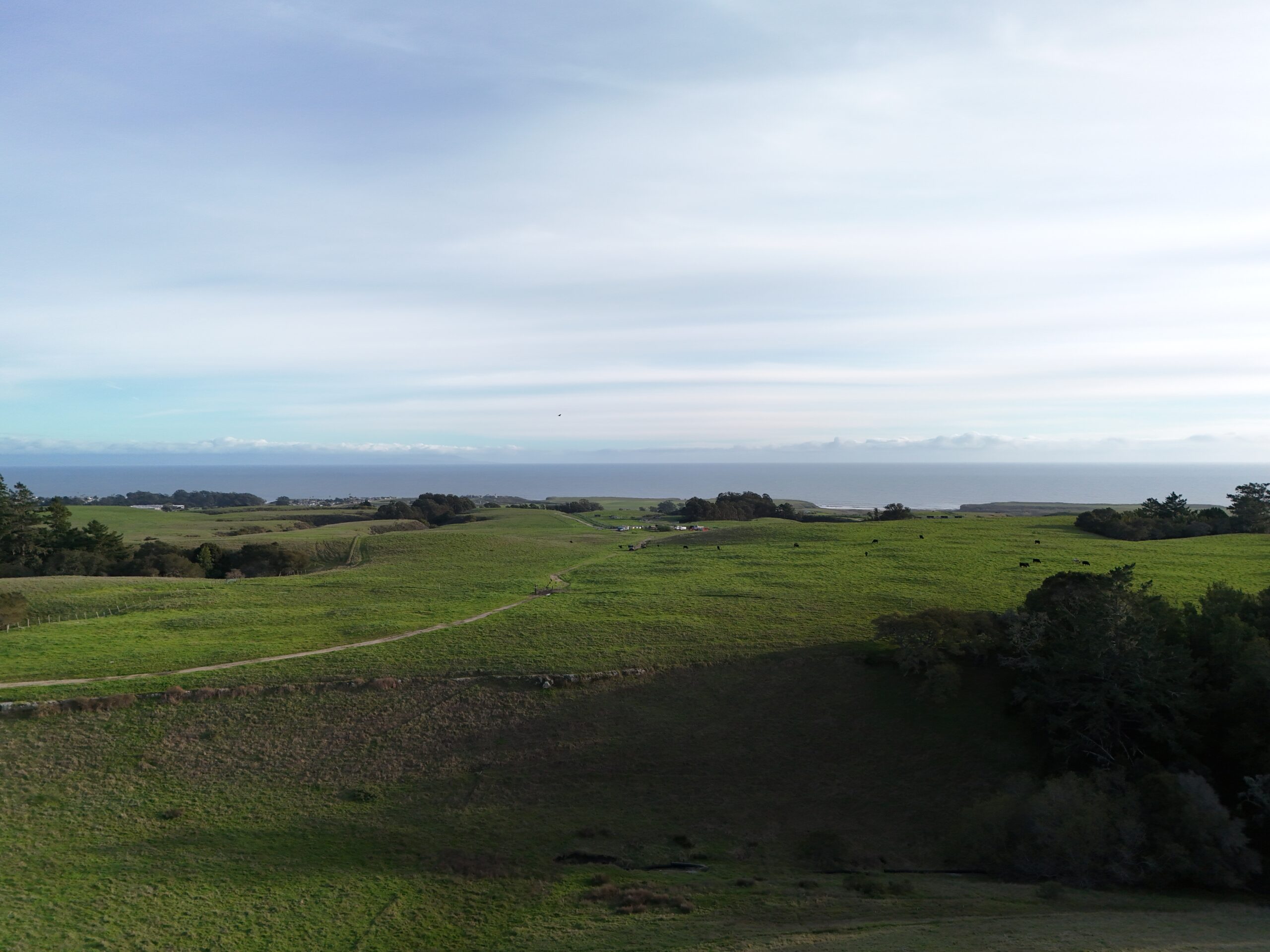 Aerial photo showing an open green field with the Pacific Coast off in the distance