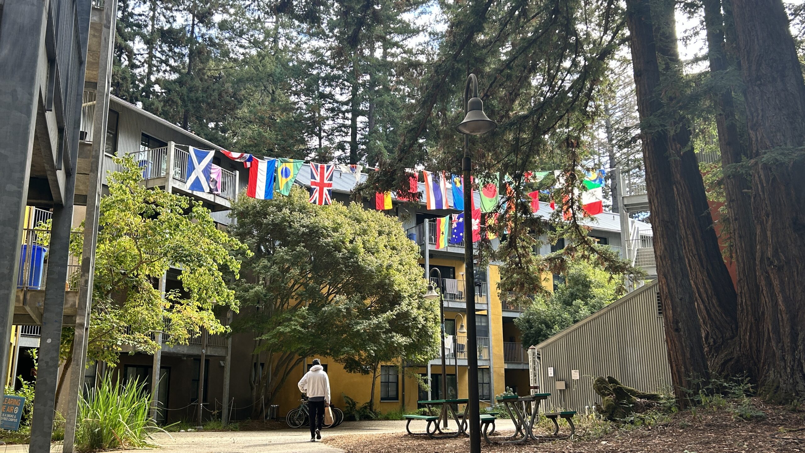 International flags at College 9
