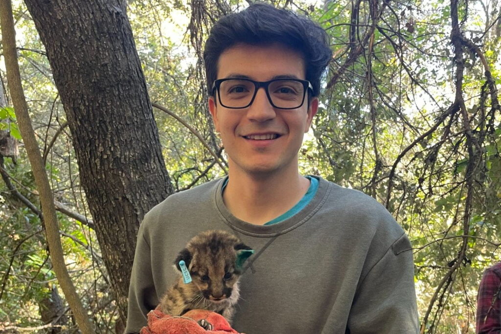 Luis Rouzaud holding a mountain-lion cub in the woods.