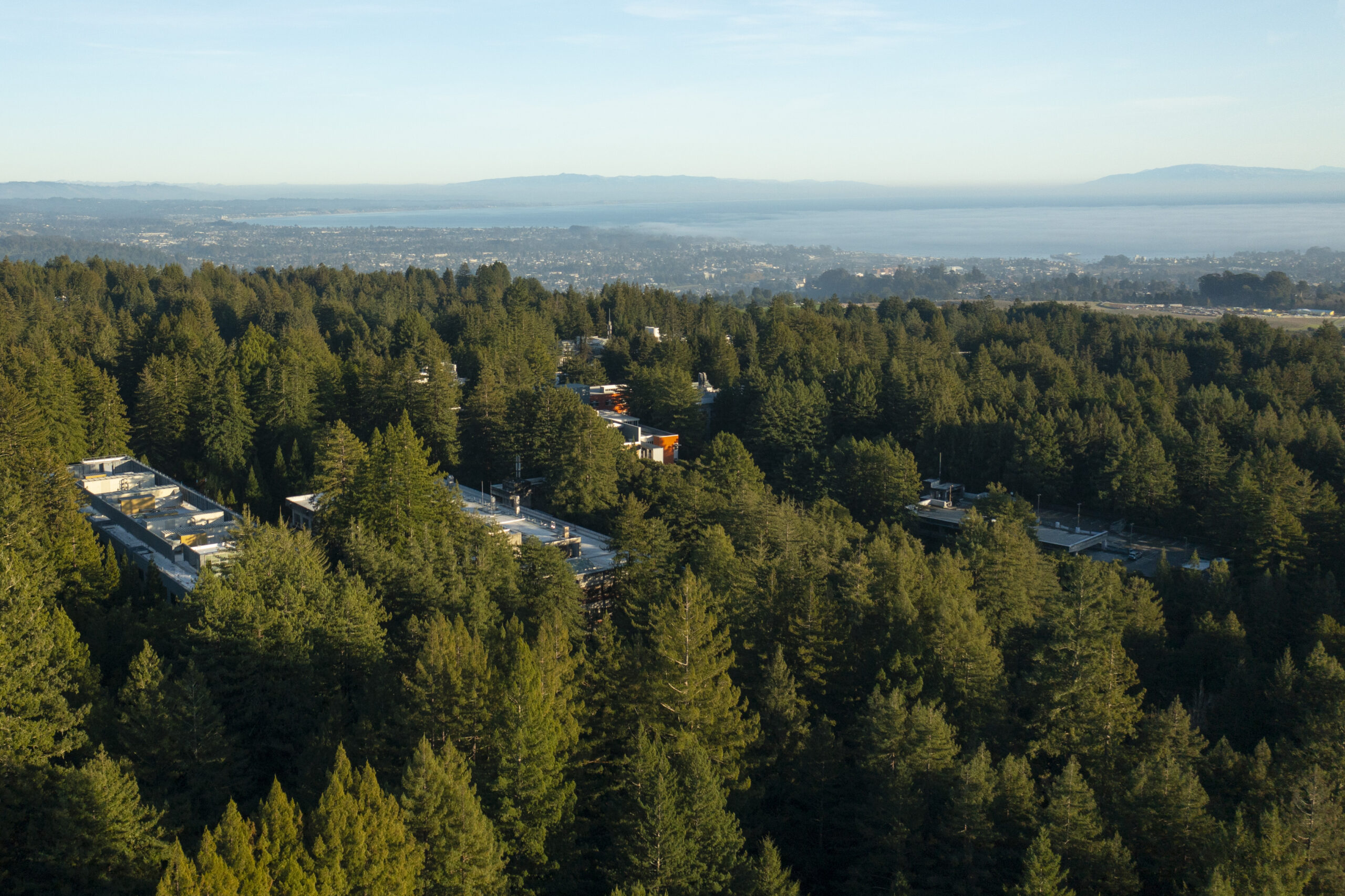 Aerial view of UCSC campus, redwood trees in foreground, monterey bay in the background