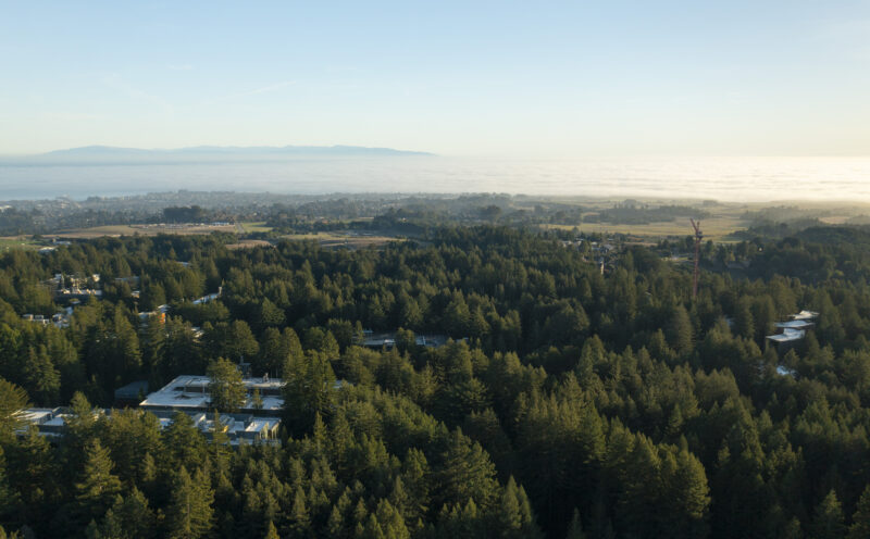 UC Santa Cruz awarded forest health grant to advance regional wildfire resilience