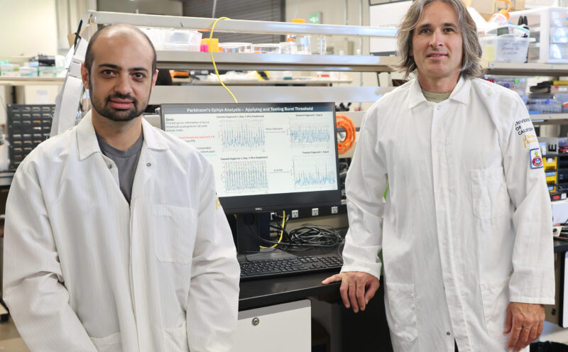 Grants to support brain organoid research on neuropsychiatric and developmental conditions 