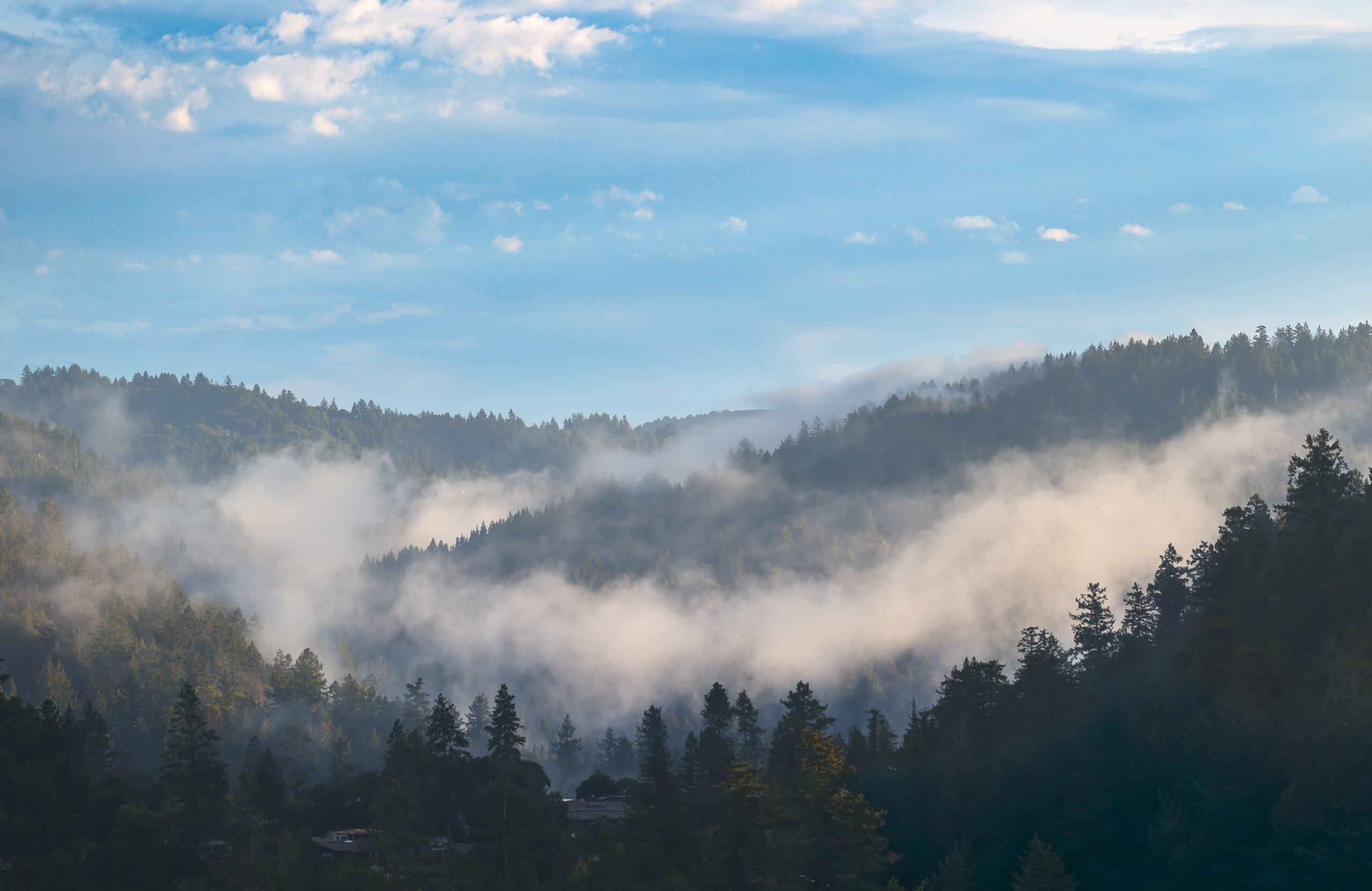 Santa Cruz Mountains after a rain