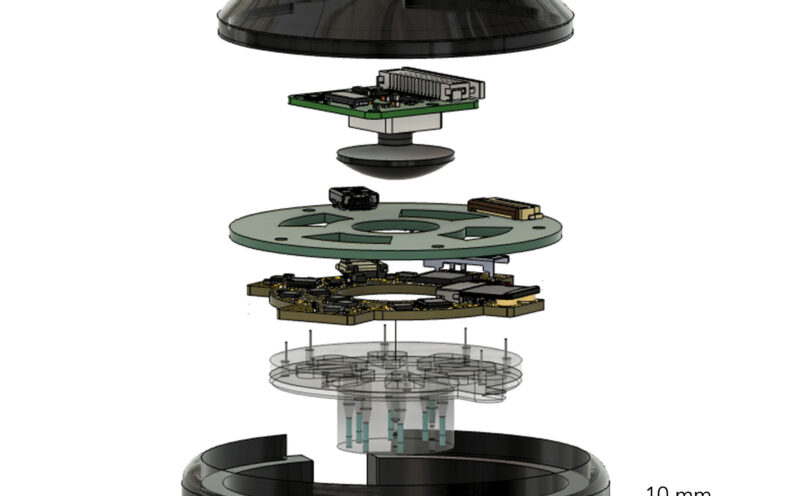 Smart device uses AI and bioelectronics to speed up wound healing process 