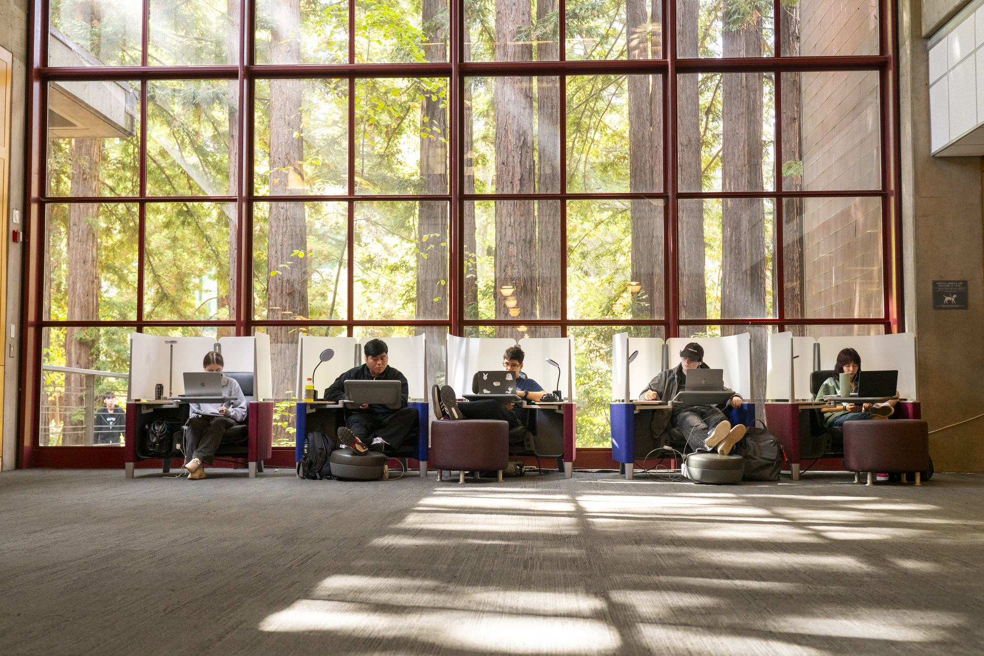 Students study in the Science and Engineering Library