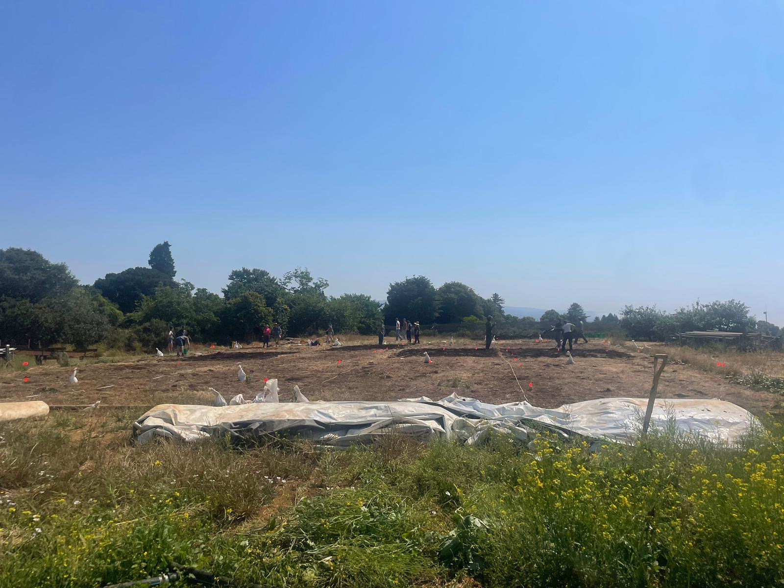 pre-trial work at one field site, now funded by FFAR