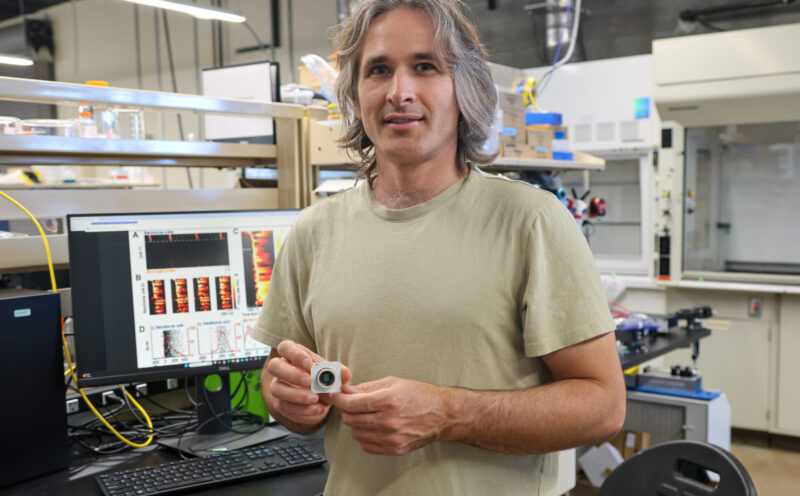 Effort aims to uncover the learning and reasoning potential of brain organoids