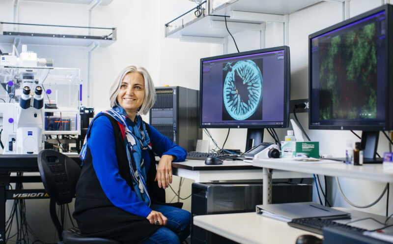 NIH awards Fitnat Yıldız $7.7 million to find new molecular paths for preventing cholera