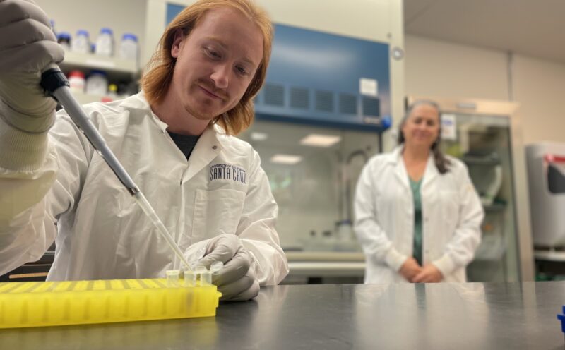 Researchers pinpoint target for treating virus that causes the stomach bug