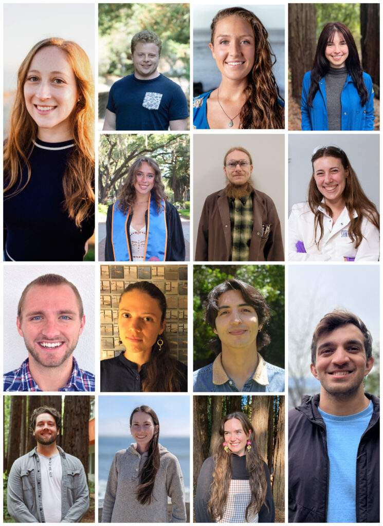 Collage shows headshot of the 14 ARCS scholars