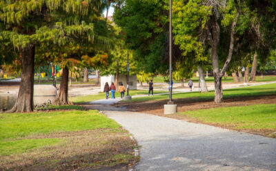 Urban park with many trees