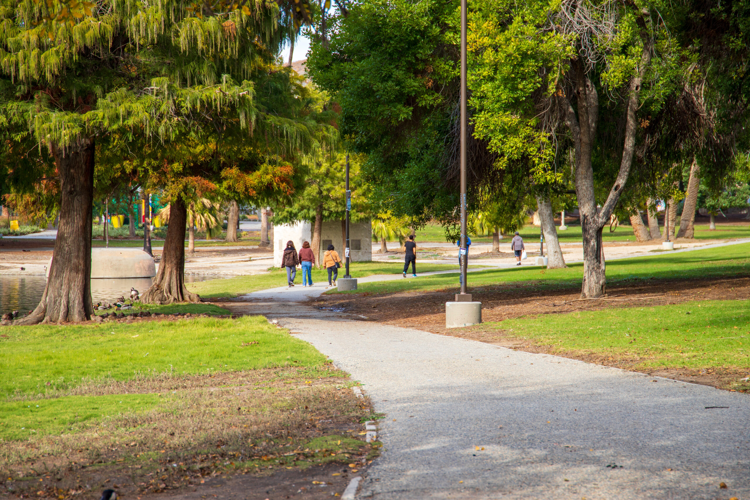Urban park with many trees