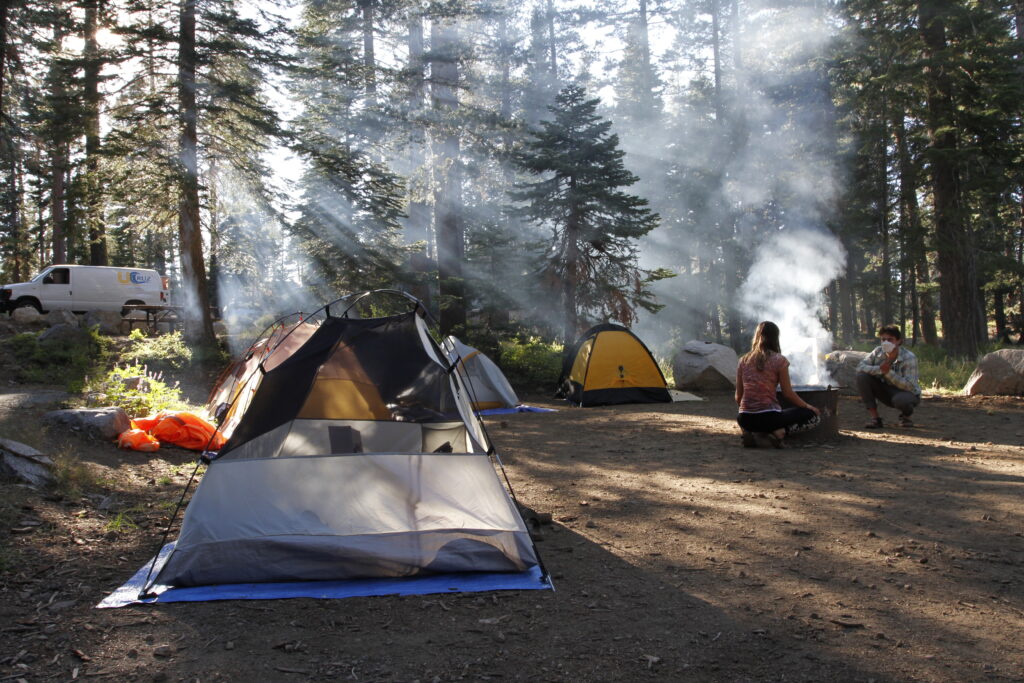 Students set up a campsite in the redwoods.