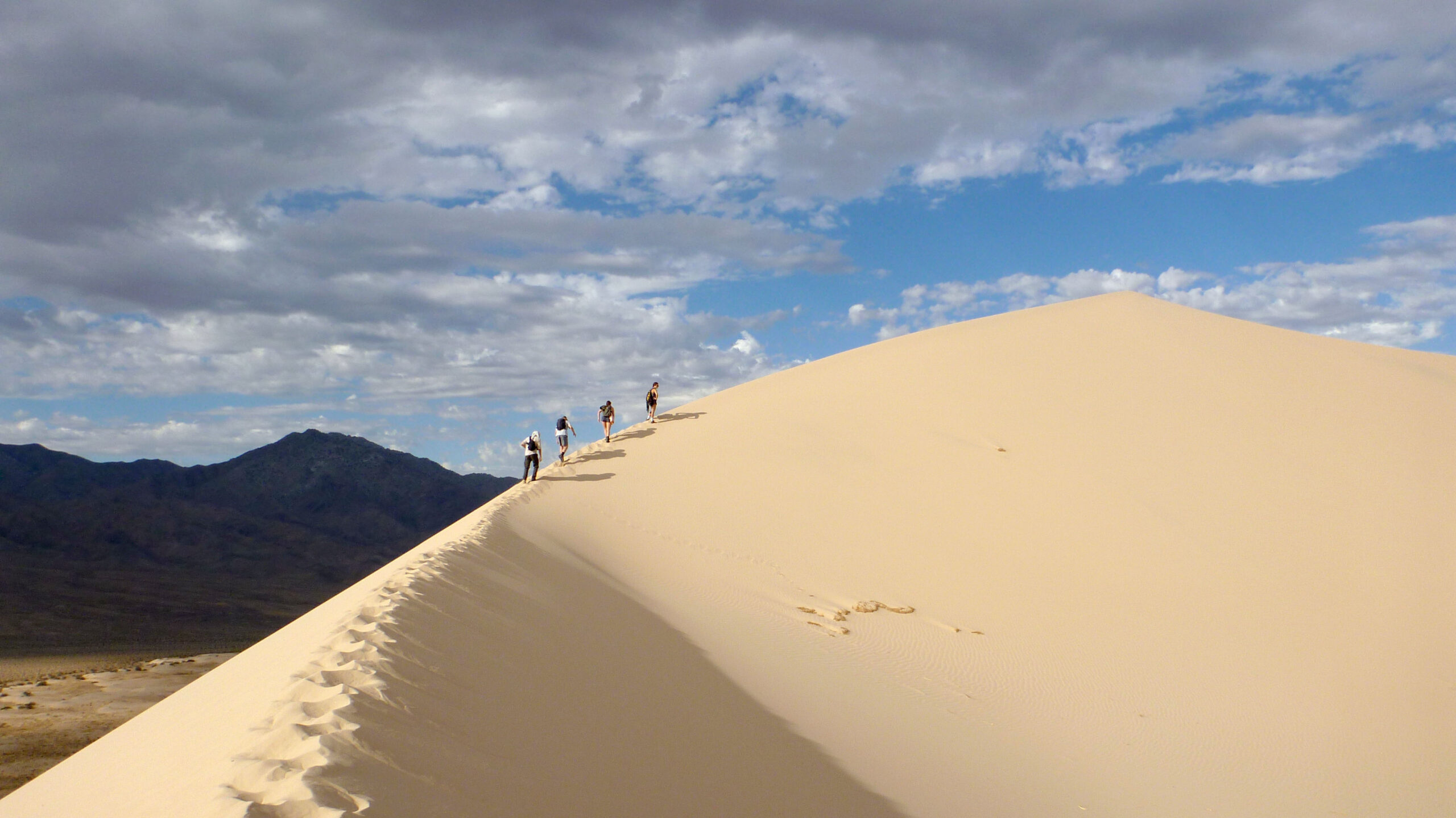 UCSC Student Summiting Kelso Dunes