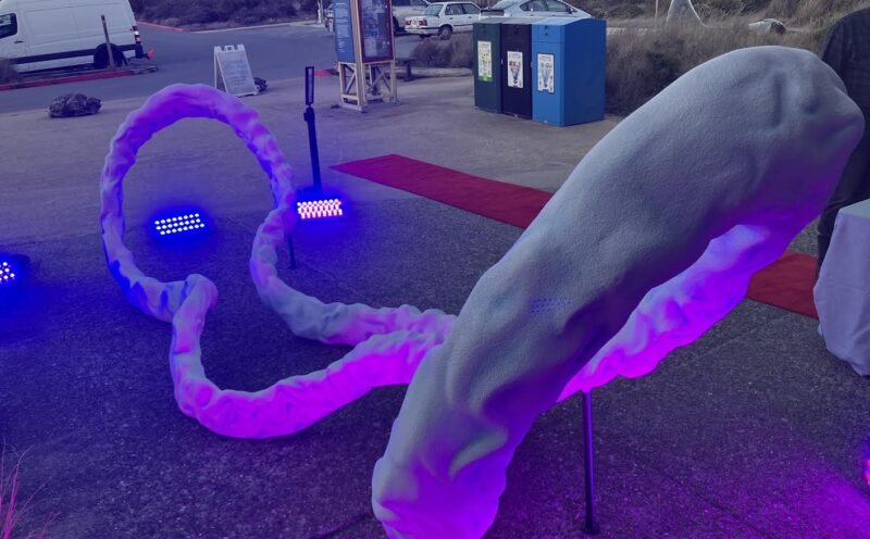 Humanistic approaches to urgent environmental issues 