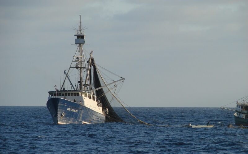 New study finds fishing-fleet movements can reveal marine-ecosystem shifts