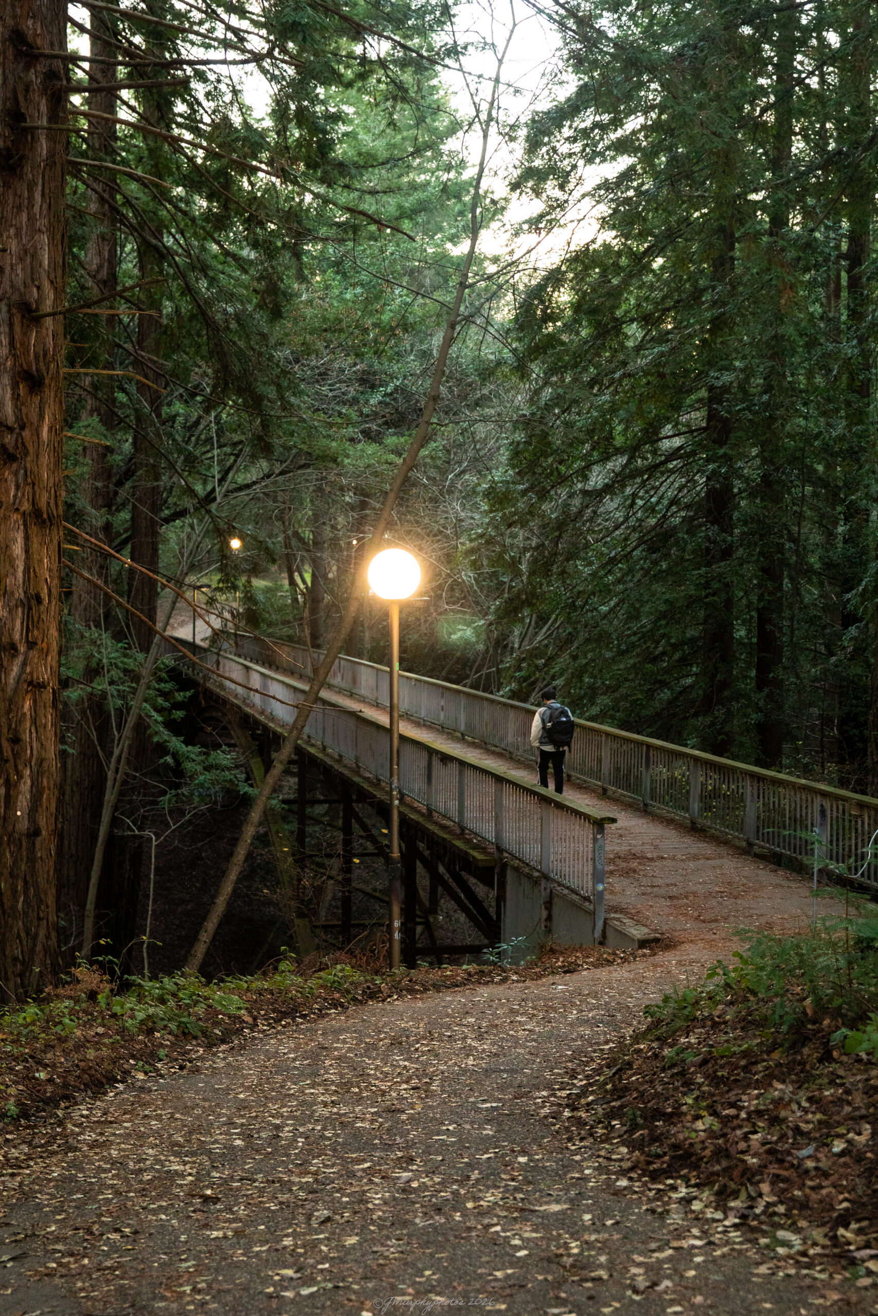 Student crossing the bridge alone