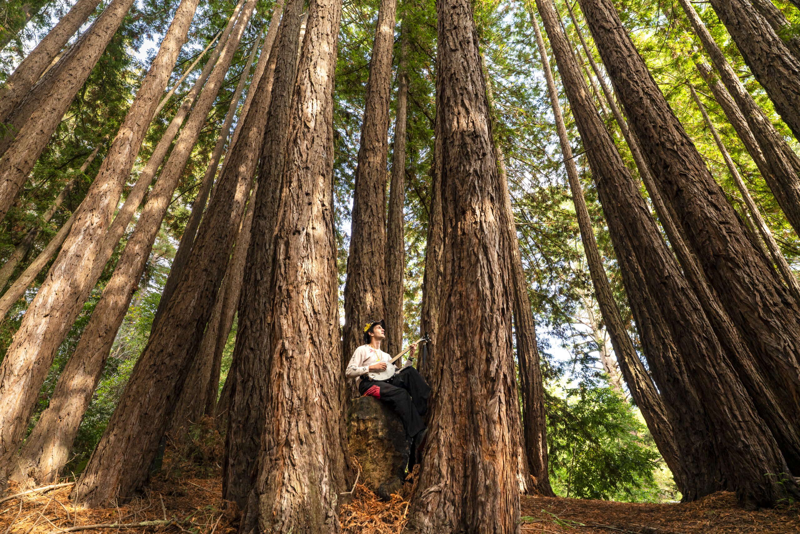 Undergrad, Geronimo Coffin plays their banjo in the forest