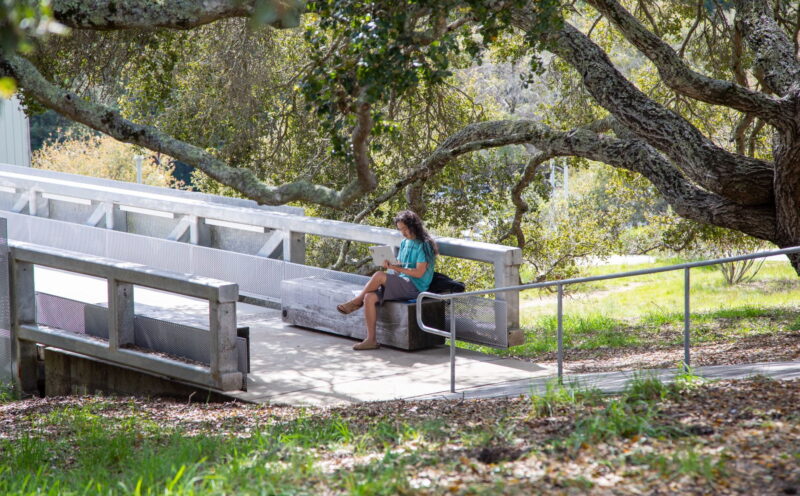 Think summer this winter