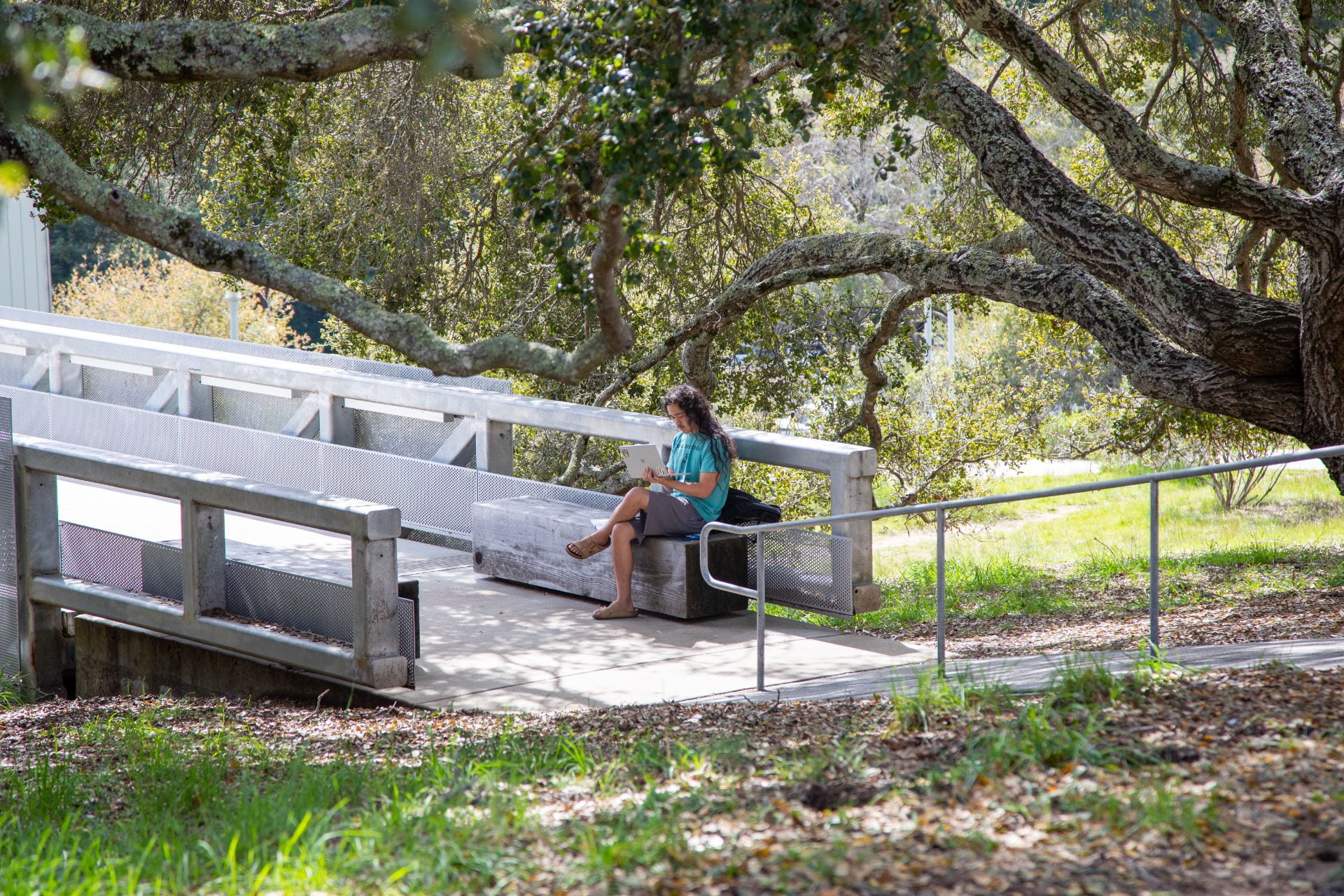 Student outside on a bench on a laptop