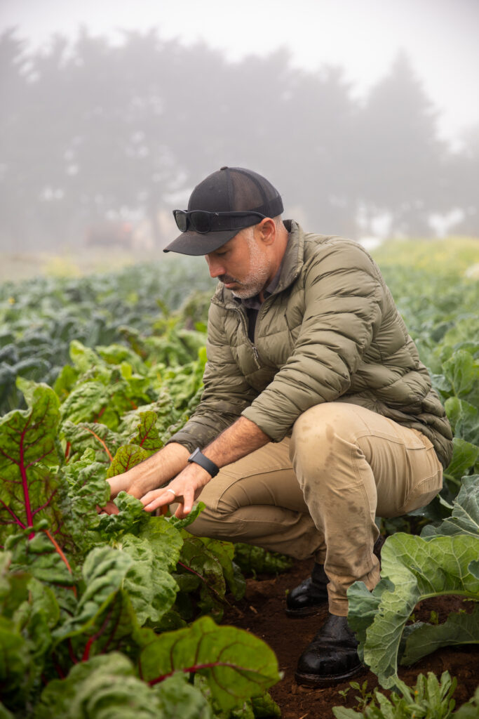 Darryl Wong tends to crops at the UCSC farm.