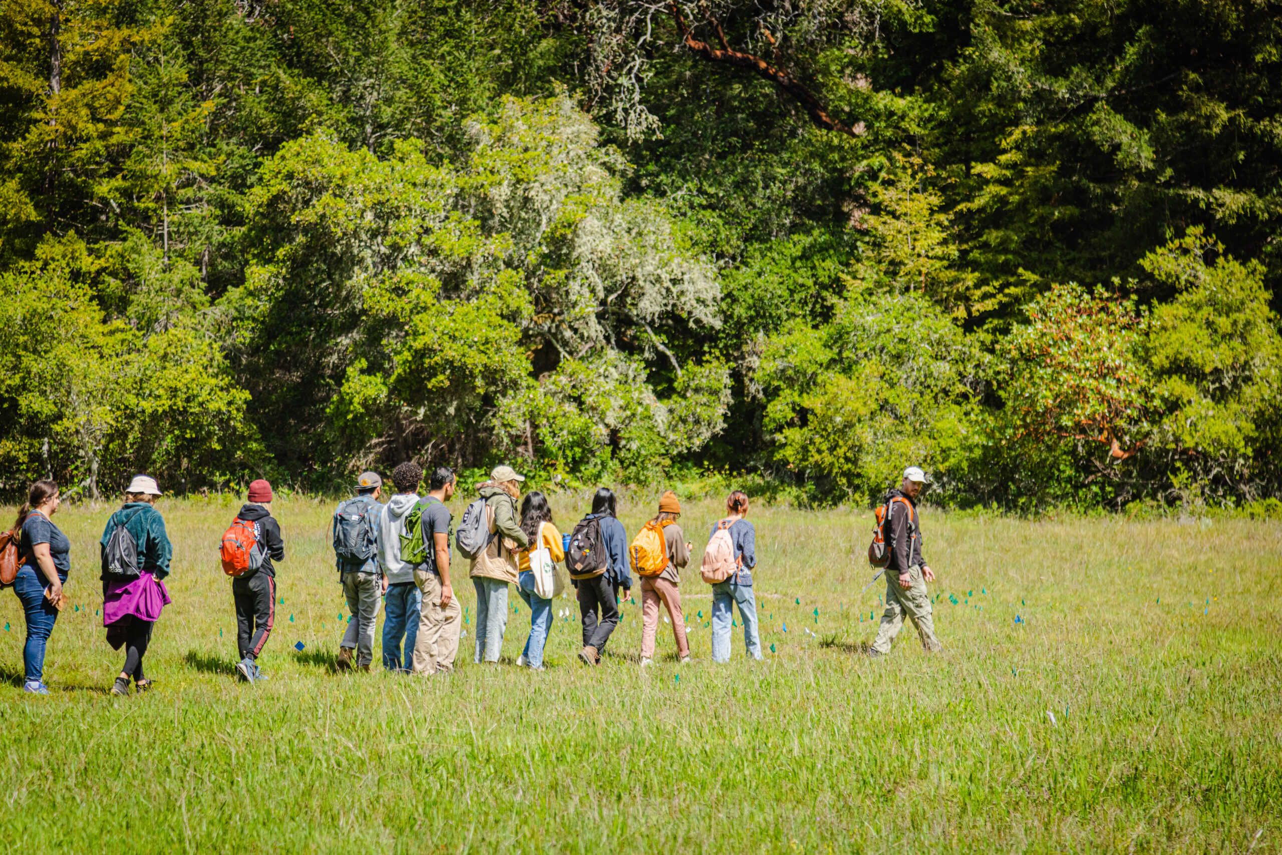 Students in a grassy field with their instructor.