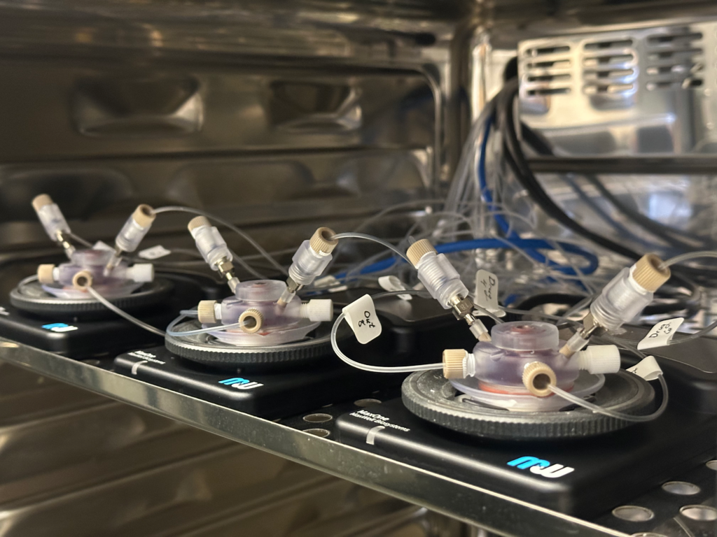 Three circular devices in an incubator are connected to multiple tubes.