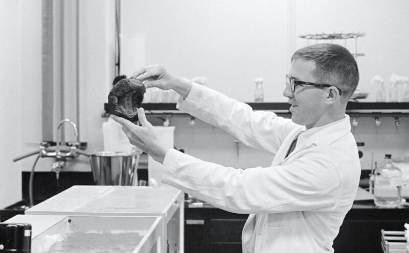 In Memoriam: Todd Newberry