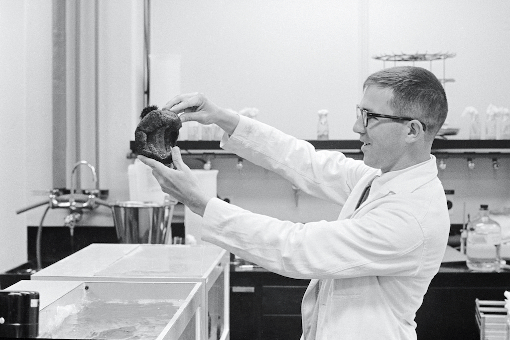 A young Todd Newberry holding a tunicate in a lab