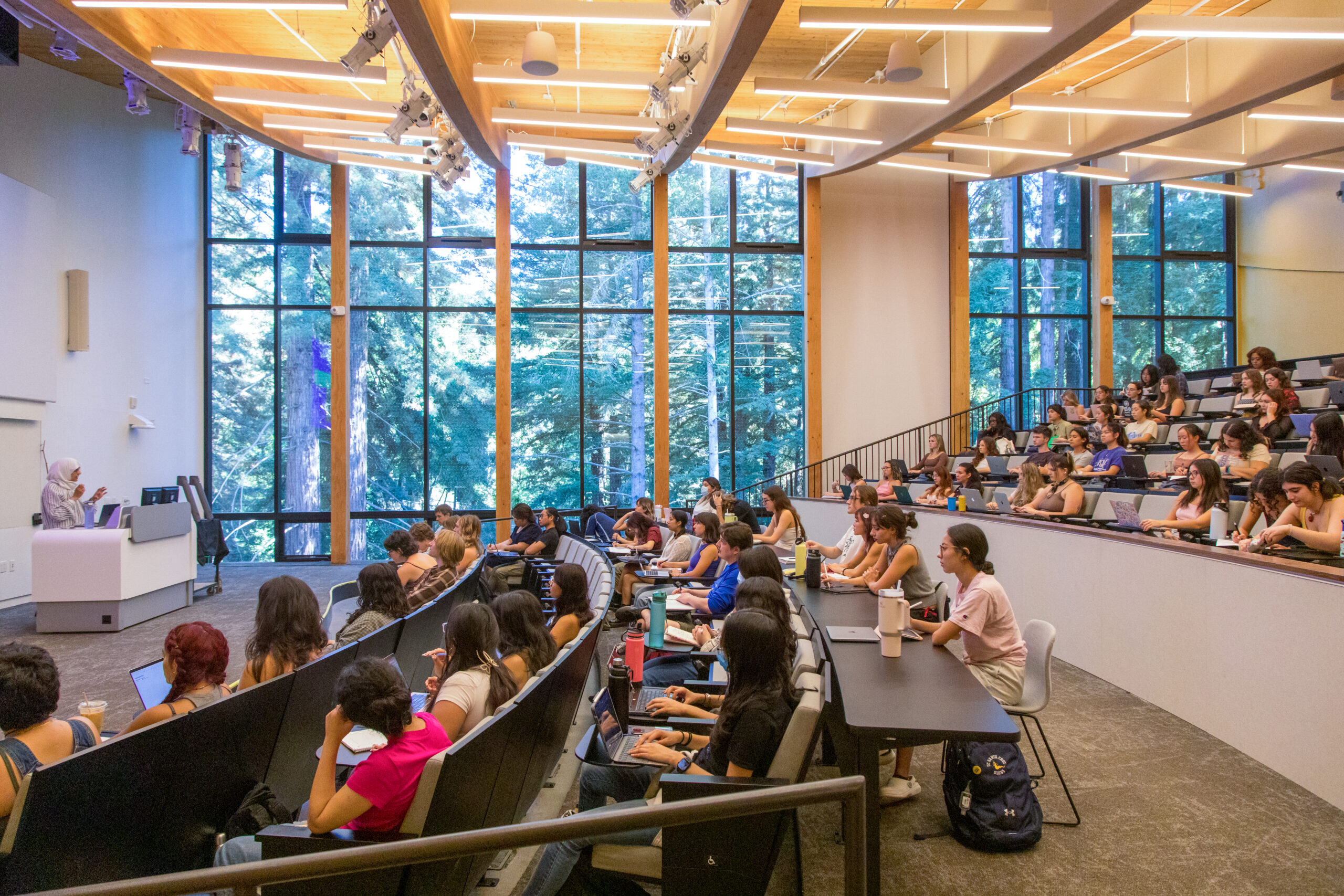 Students in a lecture hall with windows showing the campus redwoods
