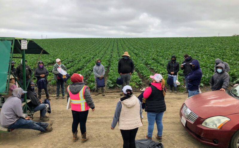 ‘Dignity in the Fields’: report documents conditions and outlines recommendations for Salinas farmworkers