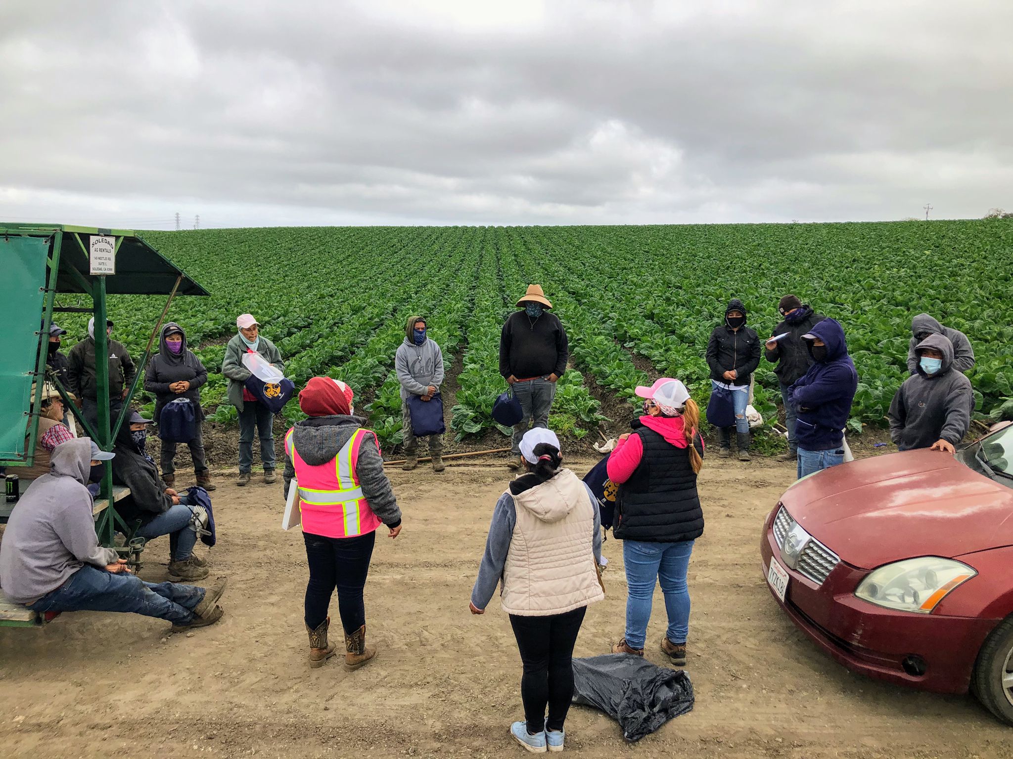 17 people stand in a circle with rows of agriculture crops in the background.