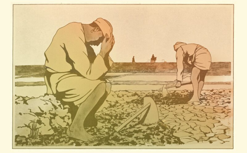 Damming the Nile and the devastating cost of human progress 