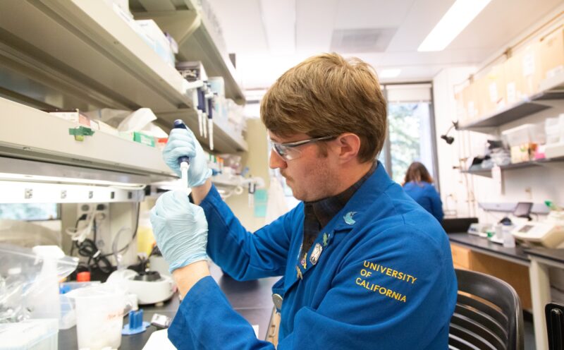 NSF awards 20 students and alumni with highly coveted Graduate Research Fellowships