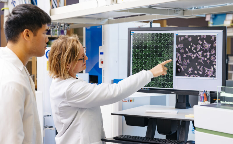 UC Santa Cruz among top 10 public U.S. universities with high-impact research, analysis shows