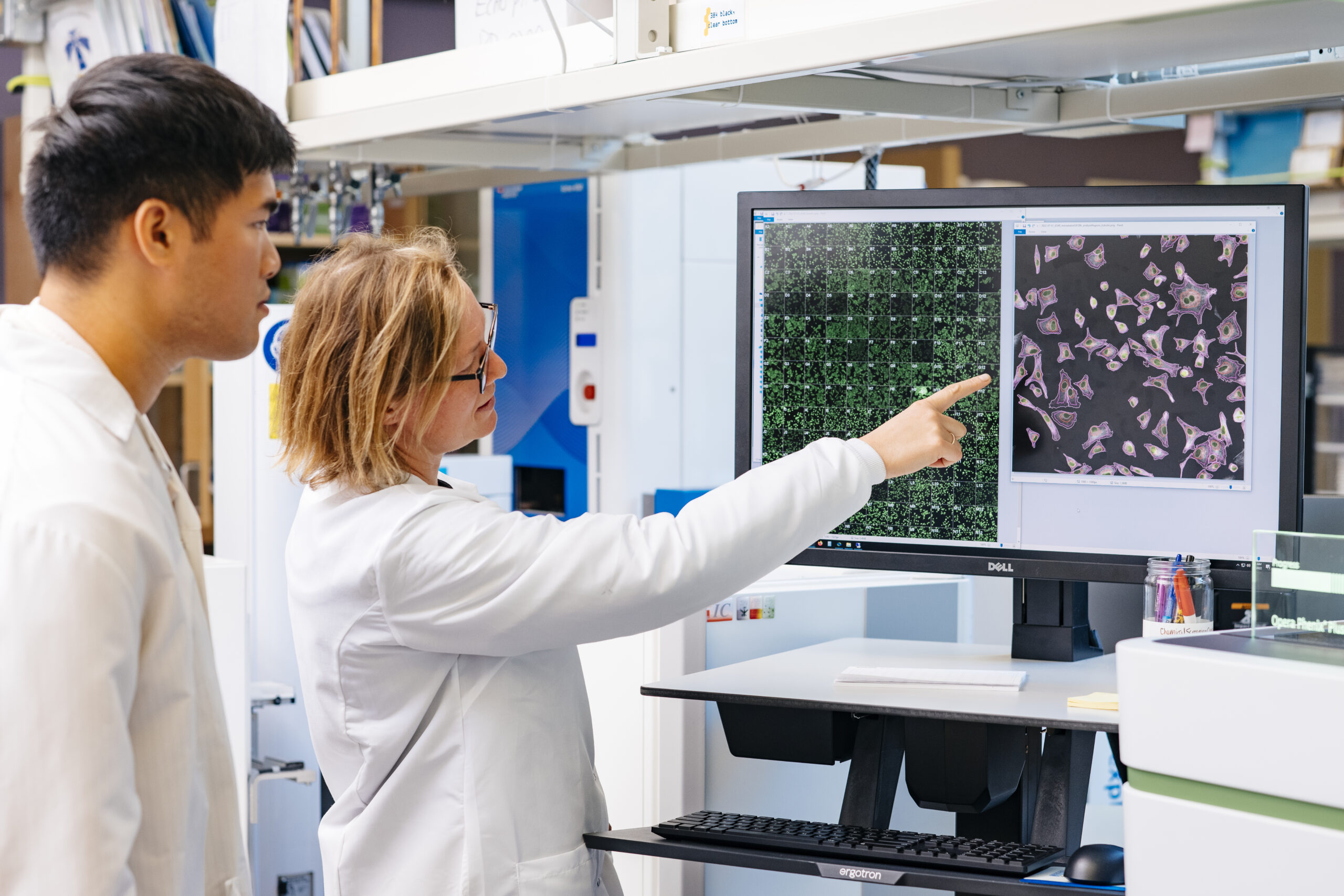 UC Santa Cruz among top 10 public U.S. universities with high-impact research, analysis shows