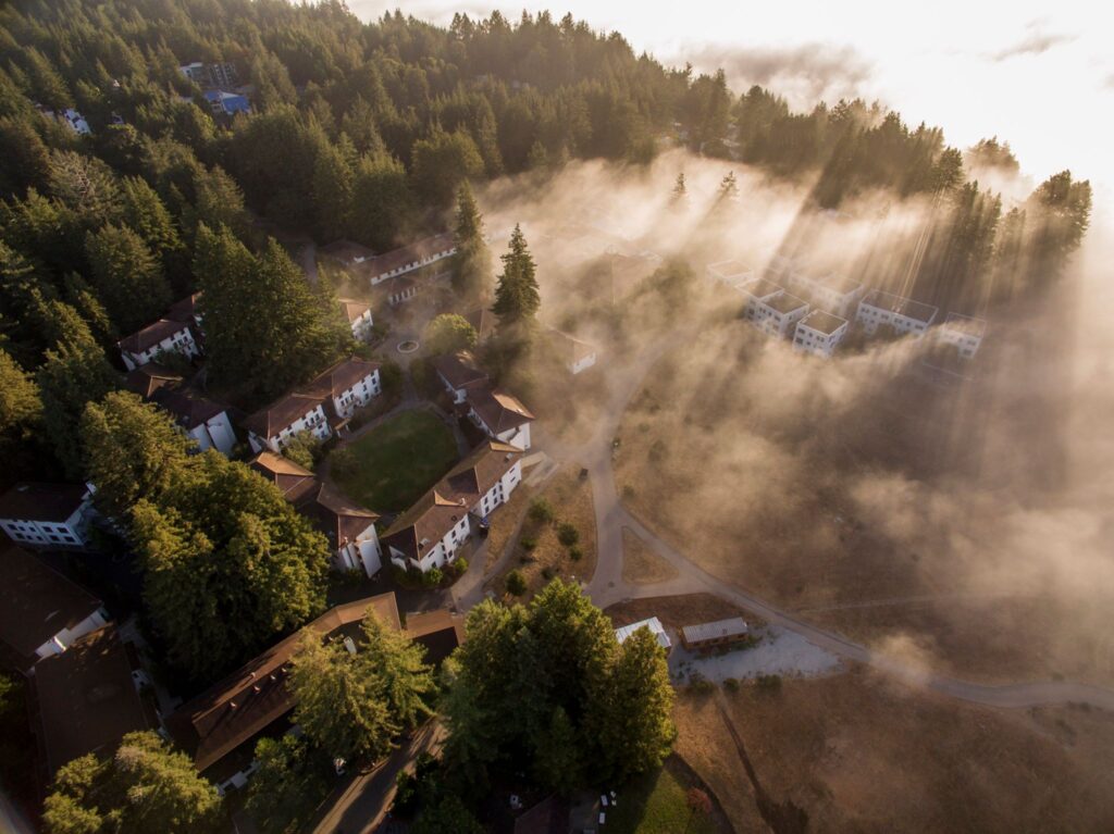 Aerial photo of coastal fog creeping over trees and buildings on campus
