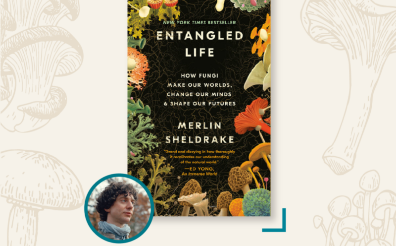 A Deep Read interview with Merlin Sheldrake, author of Entangled Life