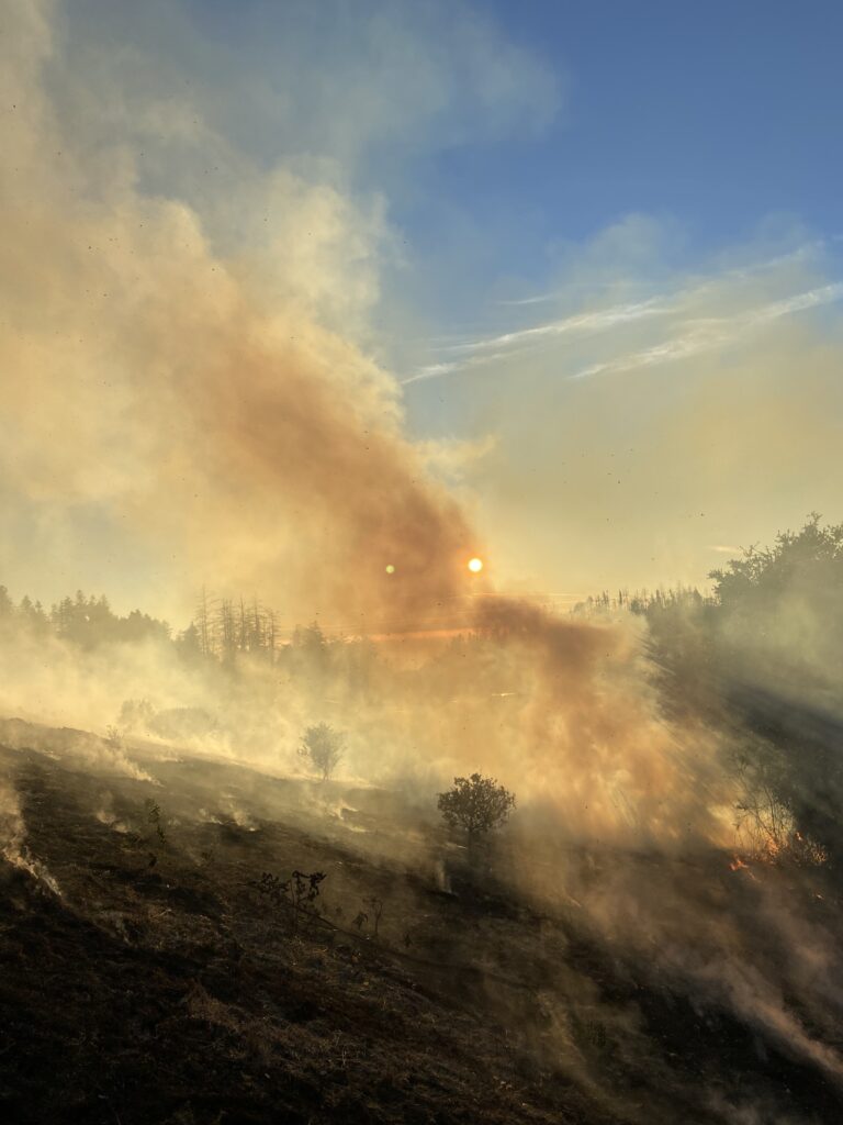Smoke billows into the air at a controlled burn site in Molino Creek