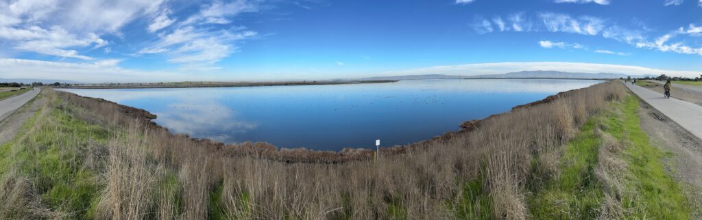 Peaceful pond under blue skies, with people using paved trail in the perhiphery.