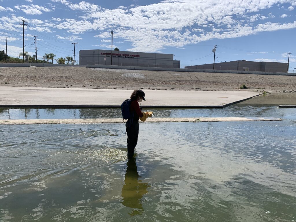 Woman standing in shallow water in the middle of a river