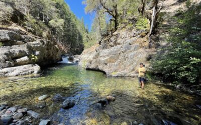 Smiling man standing in the clear water of a rocky stream on a sunny day.